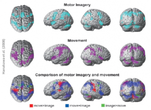 Imagerie motrice